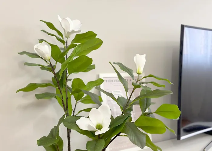 2k - Junto Al Casco Viejo Appartamento