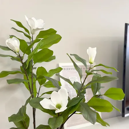 2k - Junto Al Casco Viejo Apartment